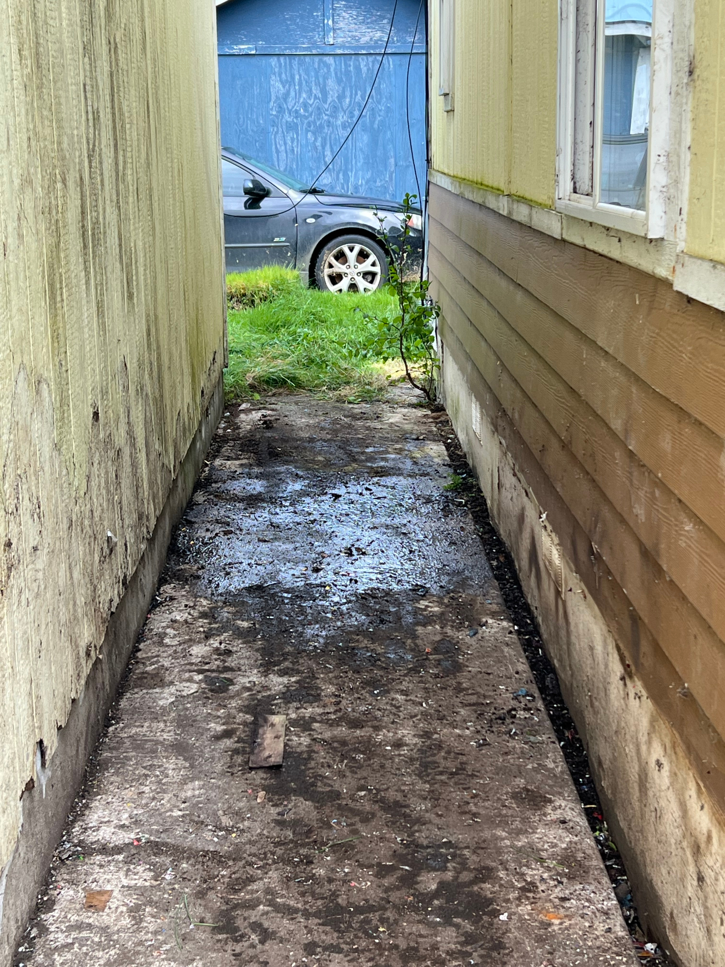 Side yard fully cleared after debris and junk removal