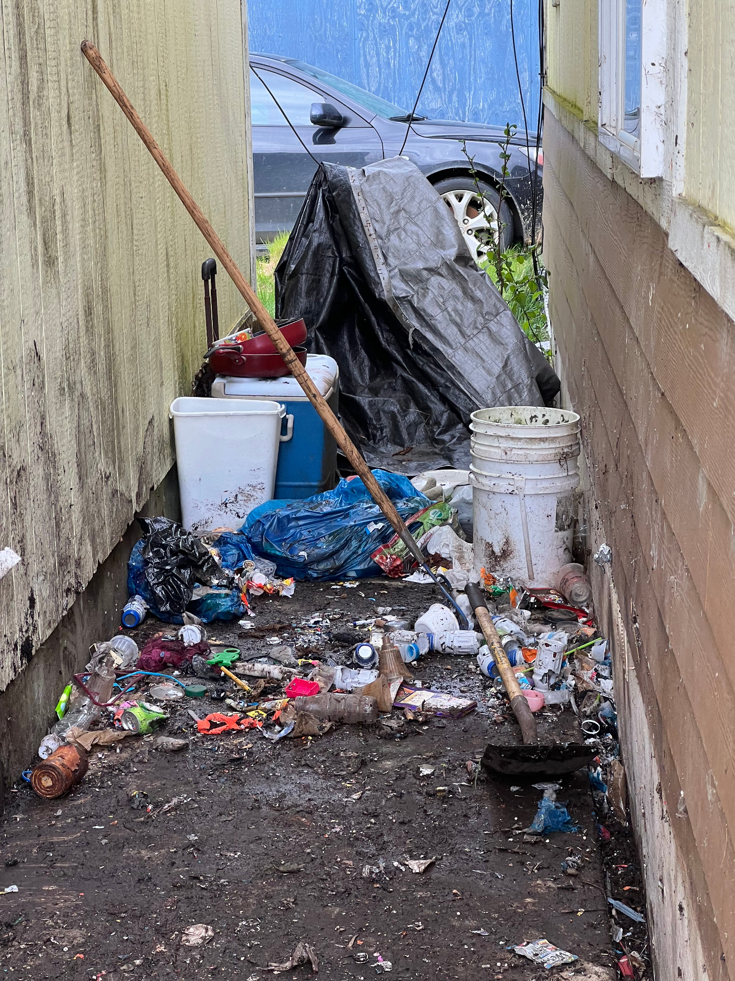 Trash and debris cleared from the side yard of a residential property